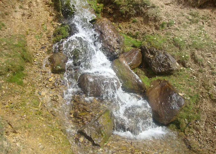 Heim