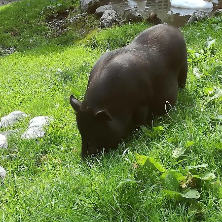 Διαμέρισμα Heim *