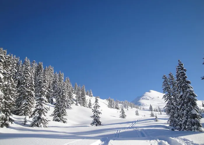 アパート Heim フューゲン