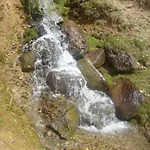 Heim