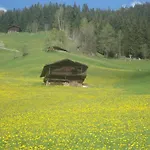 Apartament Heim *